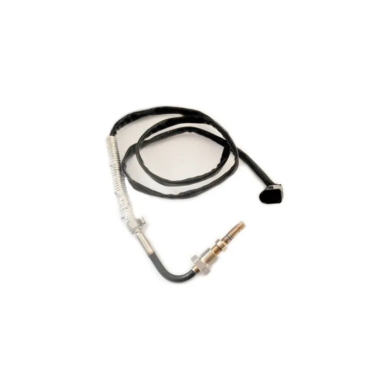 Capteur, température des gaz HOFFER 7452313