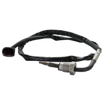 Capteur, température des gaz HOFFER 7452318