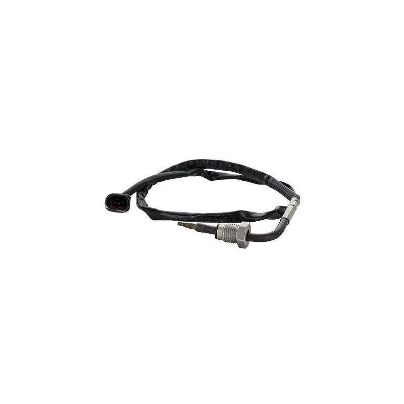 Capteur, température des gaz HOFFER 7452318