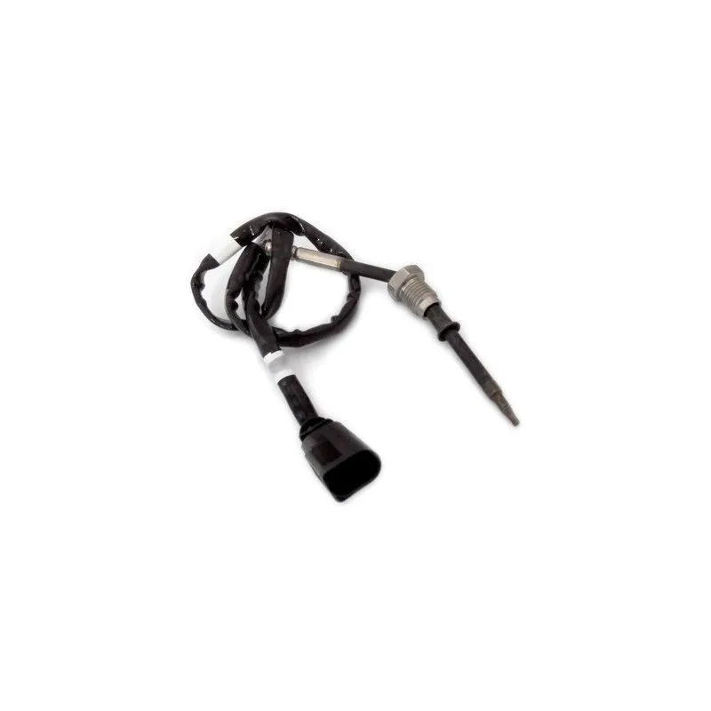 Capteur, température des gaz HOFFER 7452320