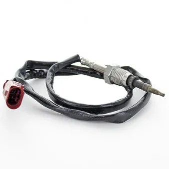 Capteur, température des gaz HOFFER 7452327
