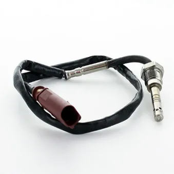 Capteur, température des gaz HOFFER