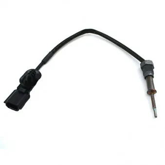 Capteur, température des gaz HOFFER 7452359