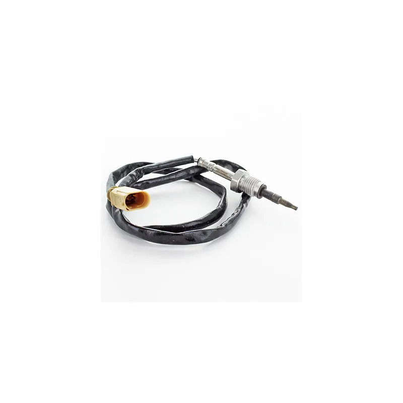 Capteur, température des gaz HOFFER 7452362