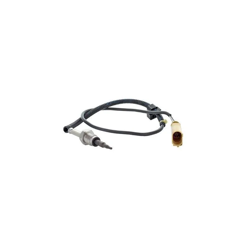 Capteur, température des gaz HOFFER 7452363