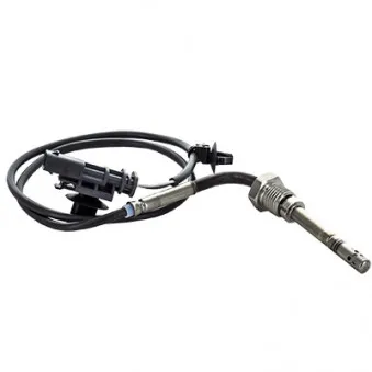 Capteur, température des gaz HOFFER