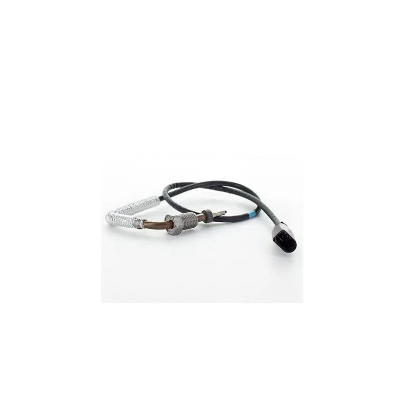 Capteur, température des gaz HOFFER 7452383