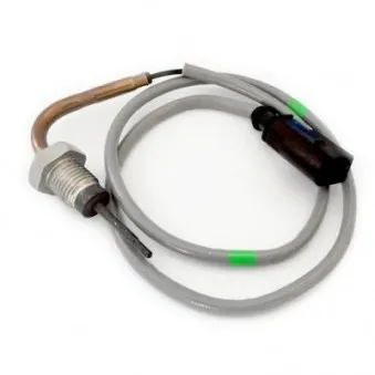 Capteur, température des gaz HOFFER 7452384