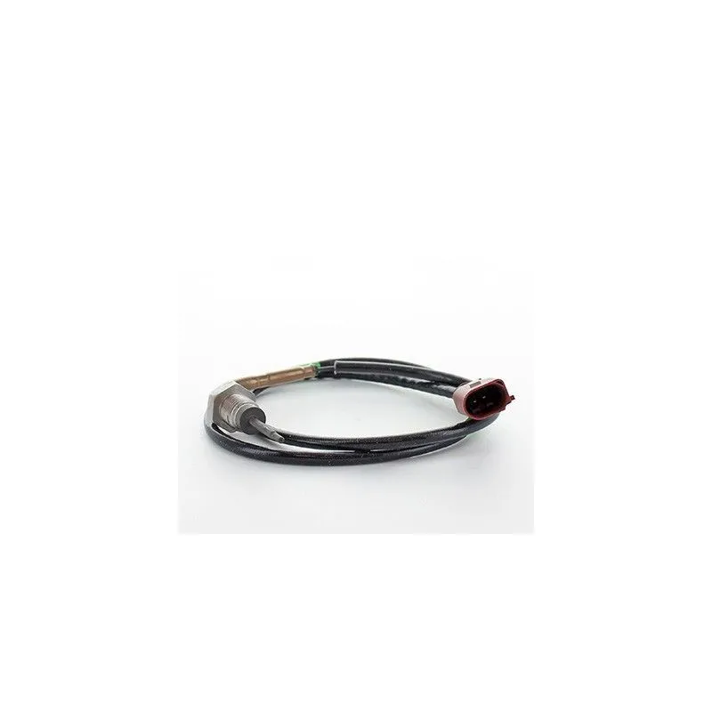 Capteur, température des gaz HOFFER 7452388