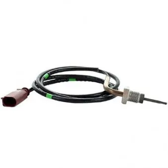 Capteur, température des gaz HOFFER 7452390