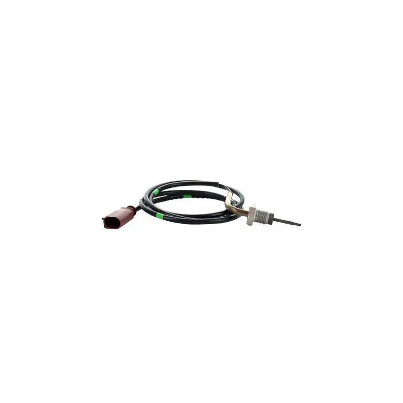 Capteur, température des gaz HOFFER 7452390