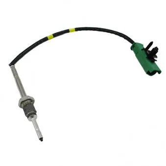 Capteur, température des gaz HOFFER 7452395