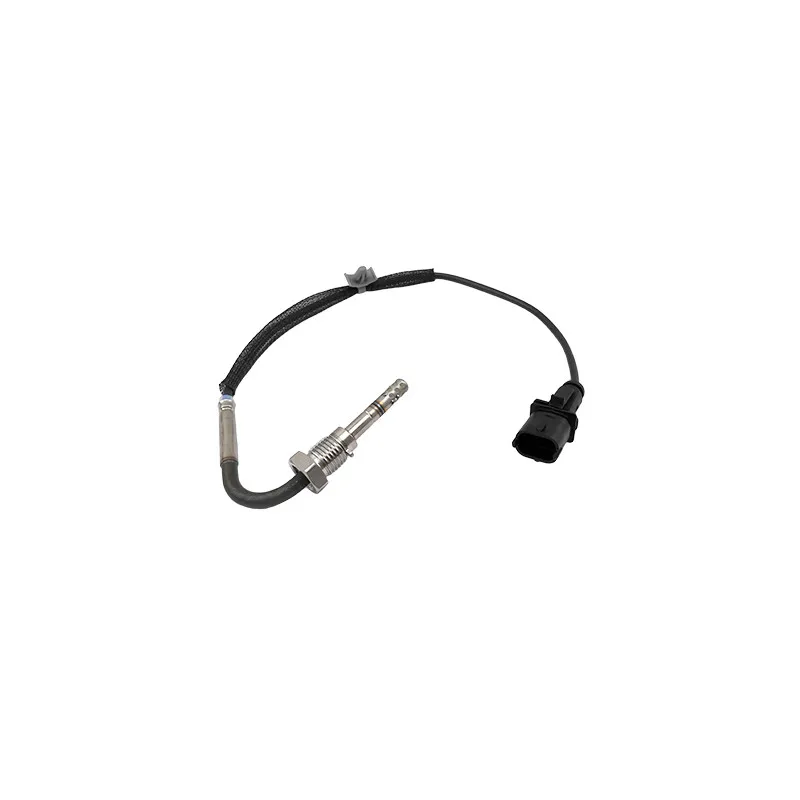 Capteur, température des gaz HOFFER 7452403