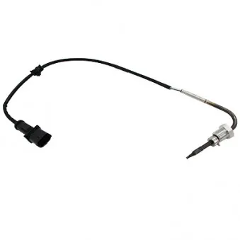 Capteur, température des gaz HOFFER