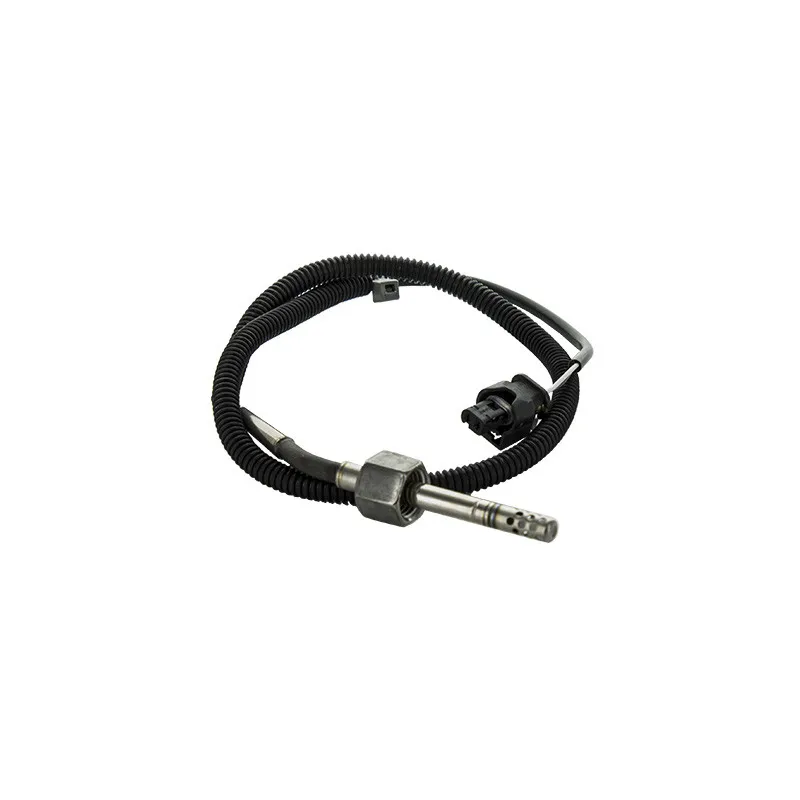 Capteur, température des gaz HOFFER 7452405