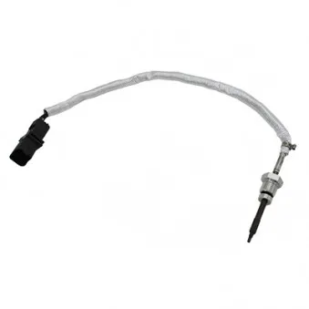 Capteur, température des gaz HOFFER 7452408