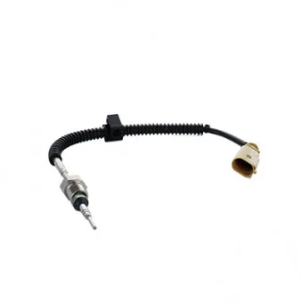 Capteur, température des gaz HOFFER