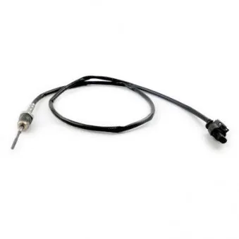 Capteur, température des gaz HOFFER 7452414