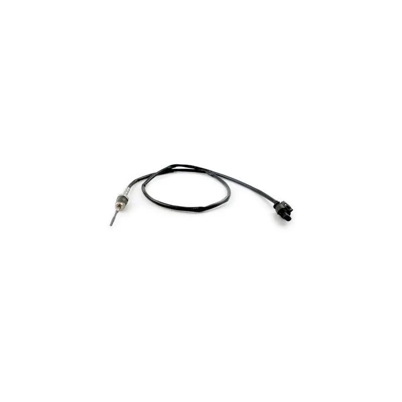 Capteur, température des gaz HOFFER 7452414