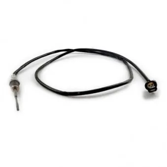 Capteur, température des gaz HOFFER 7452415