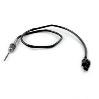 Capteur, température des gaz HOFFER 7452416