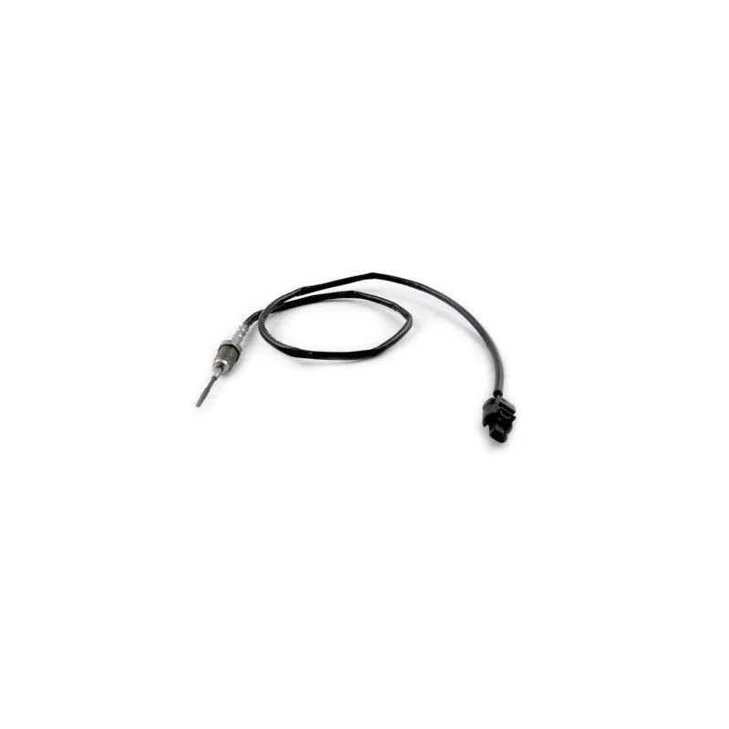 Capteur, température des gaz HOFFER 7452416