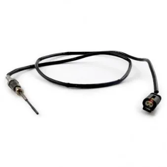 Capteur, température des gaz HOFFER 7452418