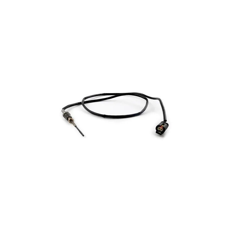 Capteur, température des gaz HOFFER 7452418