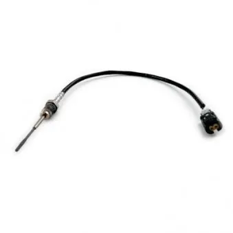 Capteur, température des gaz HOFFER 7452419