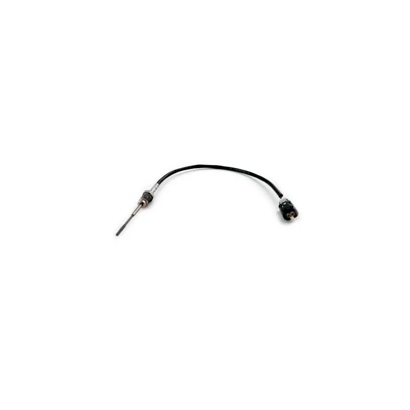 Capteur, température des gaz HOFFER 7452419