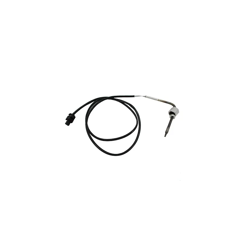 Capteur, température des gaz HOFFER 7452423