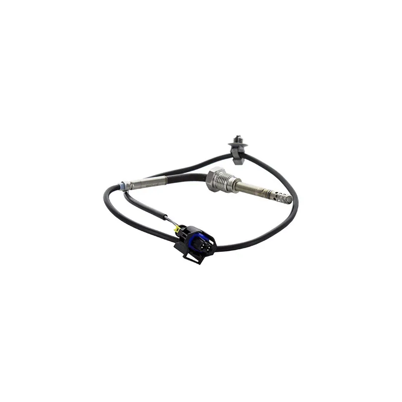 Capteur, température des gaz HOFFER 7452427