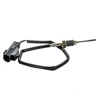 Capteur, température des gaz HOFFER 7452432