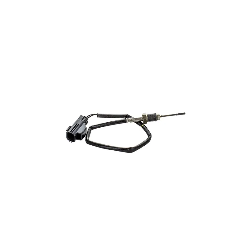Capteur, température des gaz HOFFER 7452432