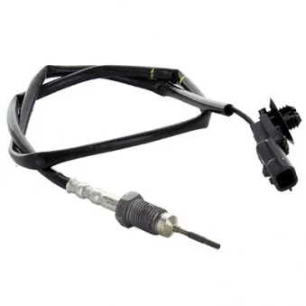 Capteur, température des gaz HOFFER 7452433