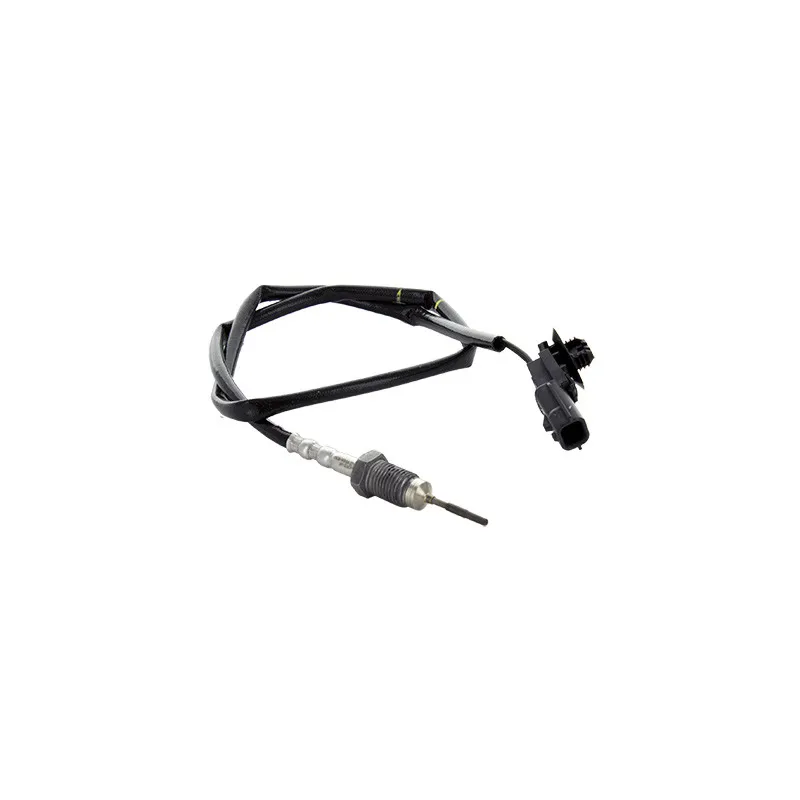 Capteur, température des gaz HOFFER 7452433
