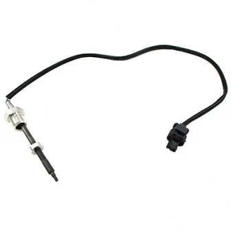 Capteur, température des gaz HOFFER 7452442