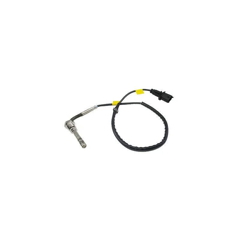 Capteur, température des gaz HOFFER 7452446