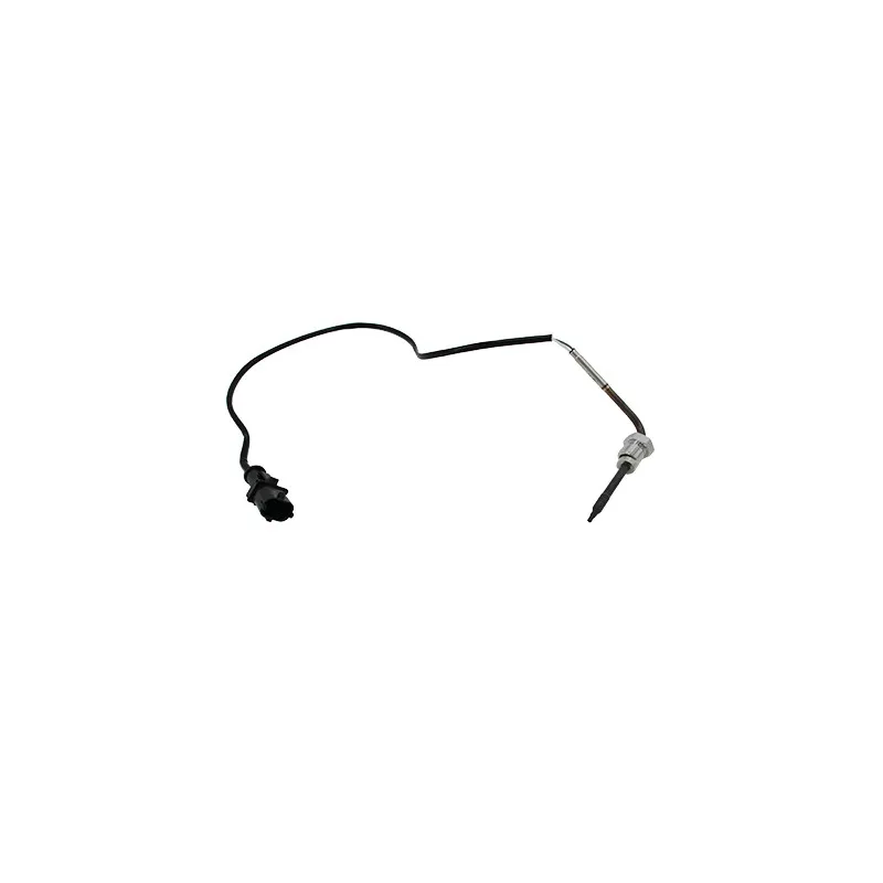 Capteur, température des gaz HOFFER 7452447