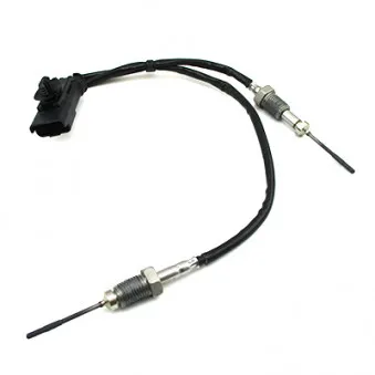 Capteur, température des gaz HOFFER 7452448