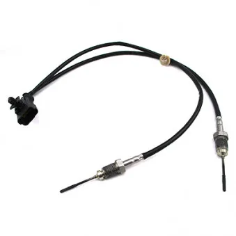 Capteur, température des gaz HOFFER 7452449