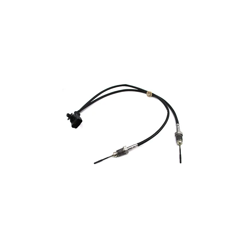 Capteur, température des gaz HOFFER 7452449
