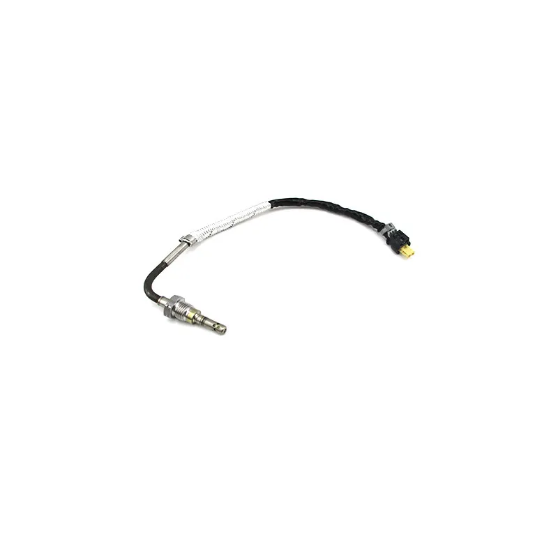 Capteur, température des gaz HOFFER 7452453