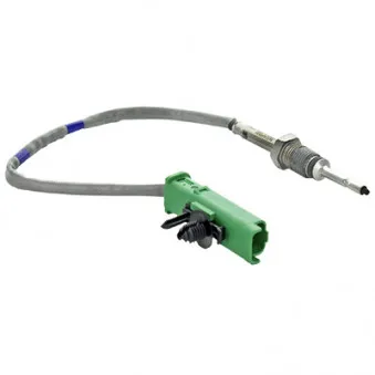 Capteur, température des gaz HOFFER 7452454