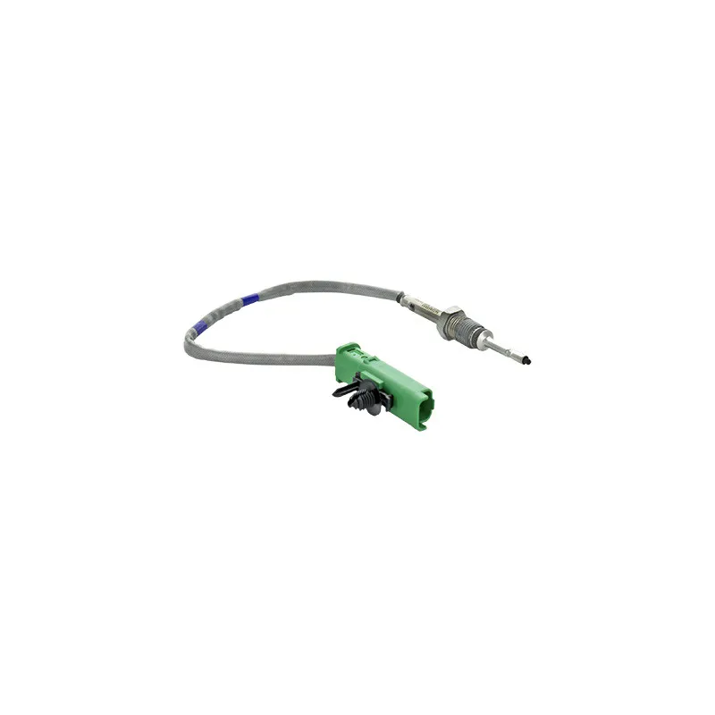 Capteur, température des gaz HOFFER 7452454