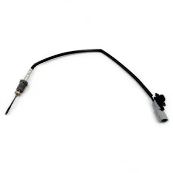 Capteur, température des gaz HOFFER 7452460