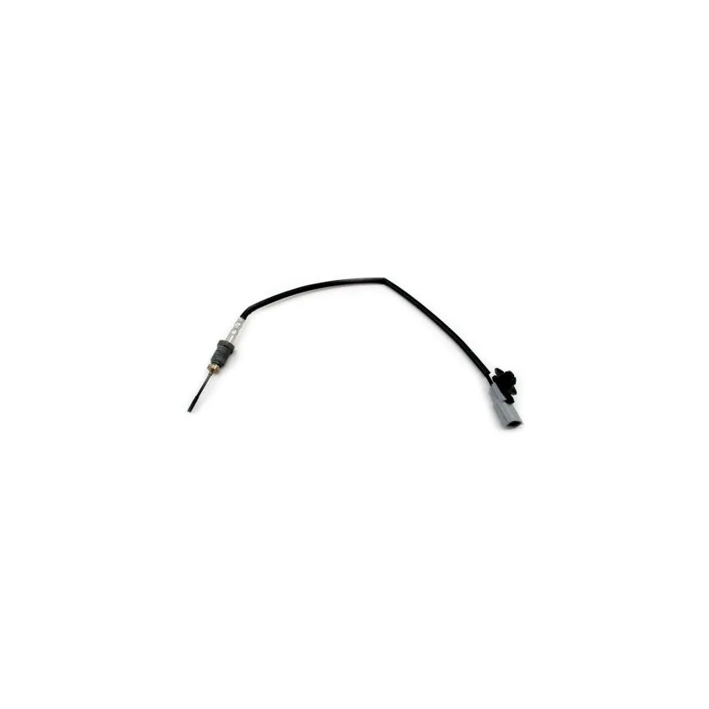 Capteur, température des gaz HOFFER 7452460