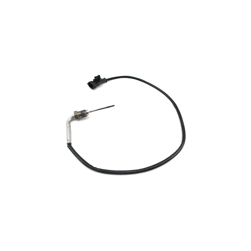 Capteur, température des gaz HOFFER 7452461