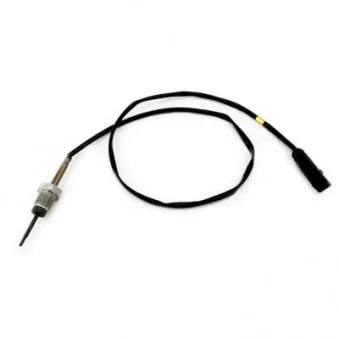 Capteur, température des gaz HOFFER 7452462