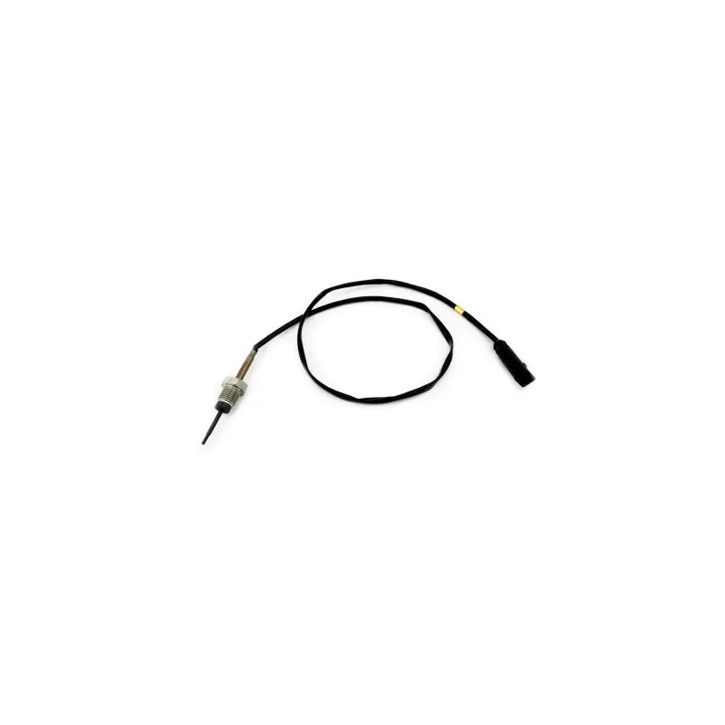 Capteur, température des gaz HOFFER 7452462